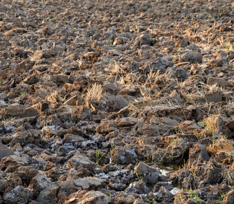 Surface dry cracked clay on rice fields in drought season